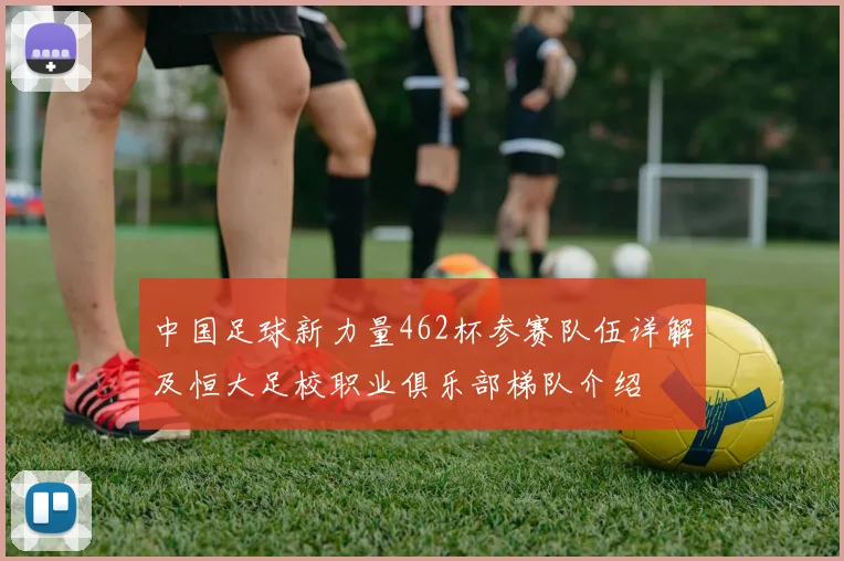 中国足球新力量462杯参赛队伍详解及恒大足校职业俱乐部梯队介绍