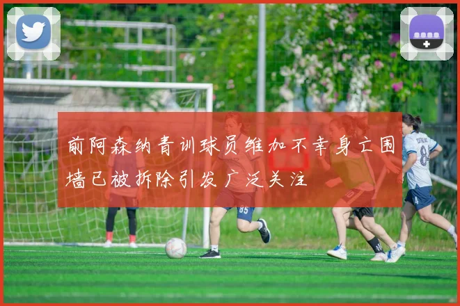 前阿森纳青训球员维加不幸身亡围墙已被拆除引发广泛关注