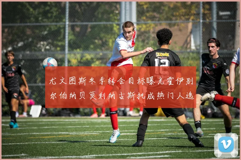 尤文图斯冬季转会目标曝光霍伊别尔伯纳贝莫利纳古斯托成热门人选